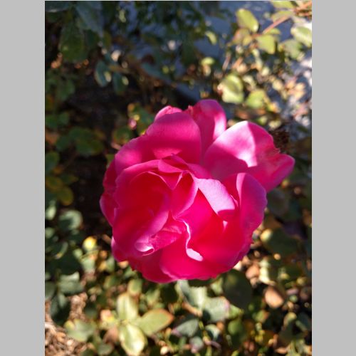 IMG_20161108_105726.jpg